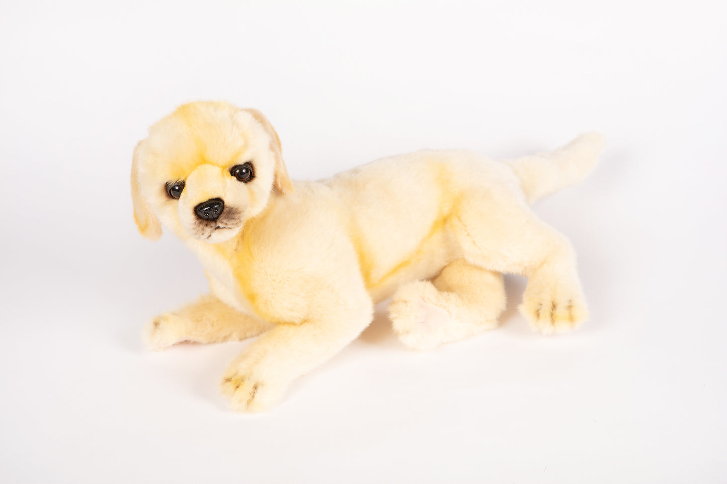 Hansa Golden Retriever