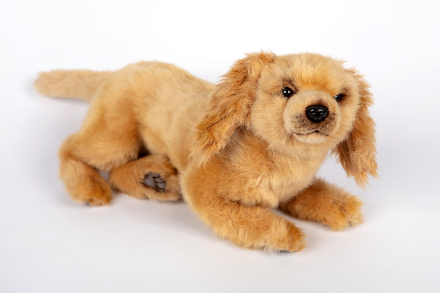 Hansa Cocker Spaniel