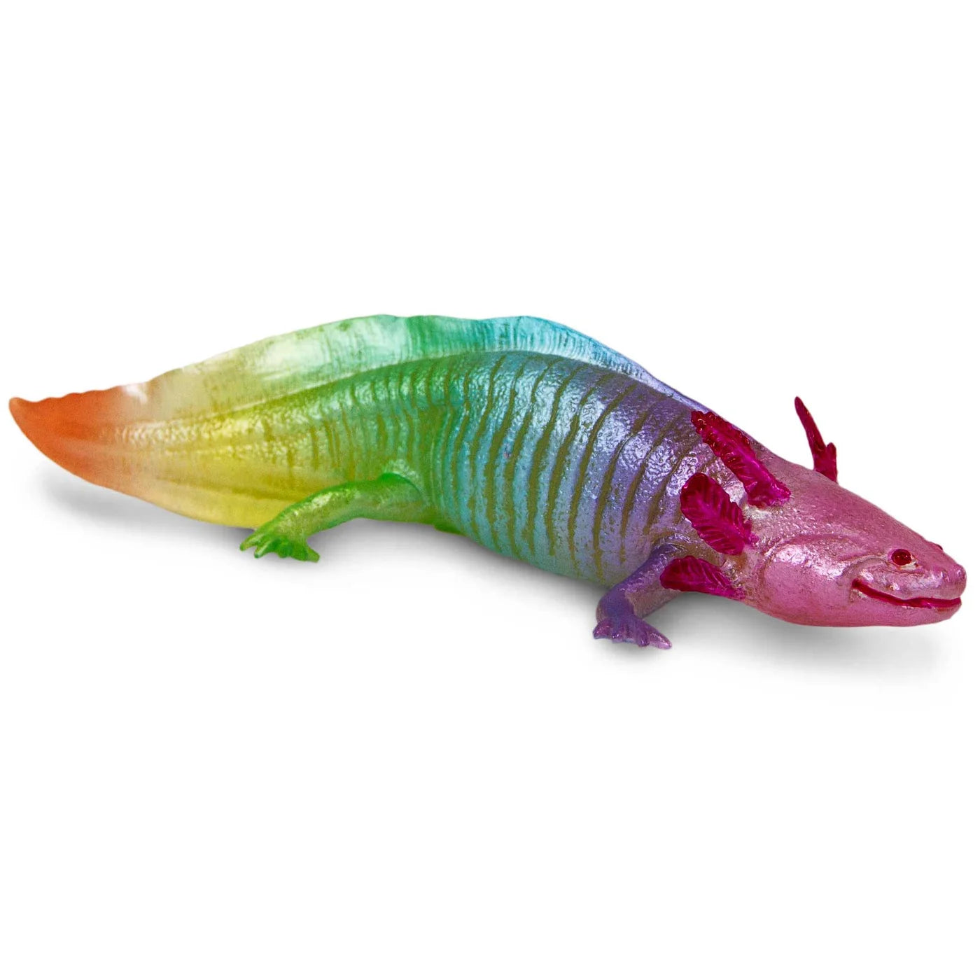 Safari Regenbogen Axolotl
