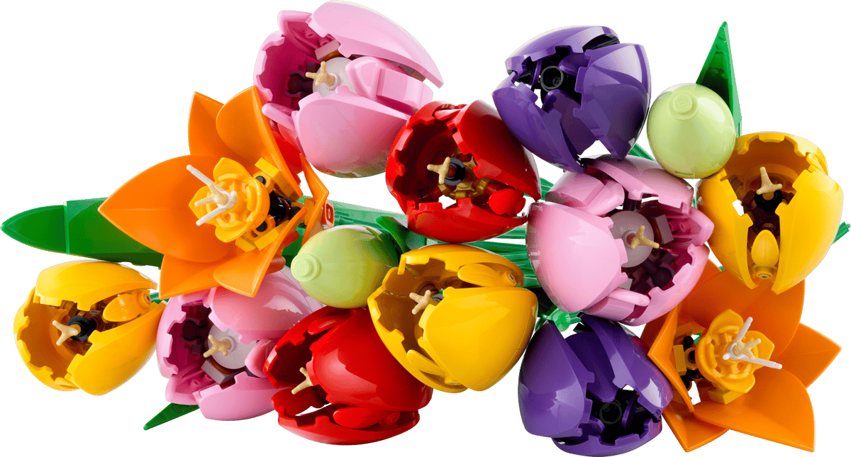 Lego Botanicals 11501 Tulip Bouquet