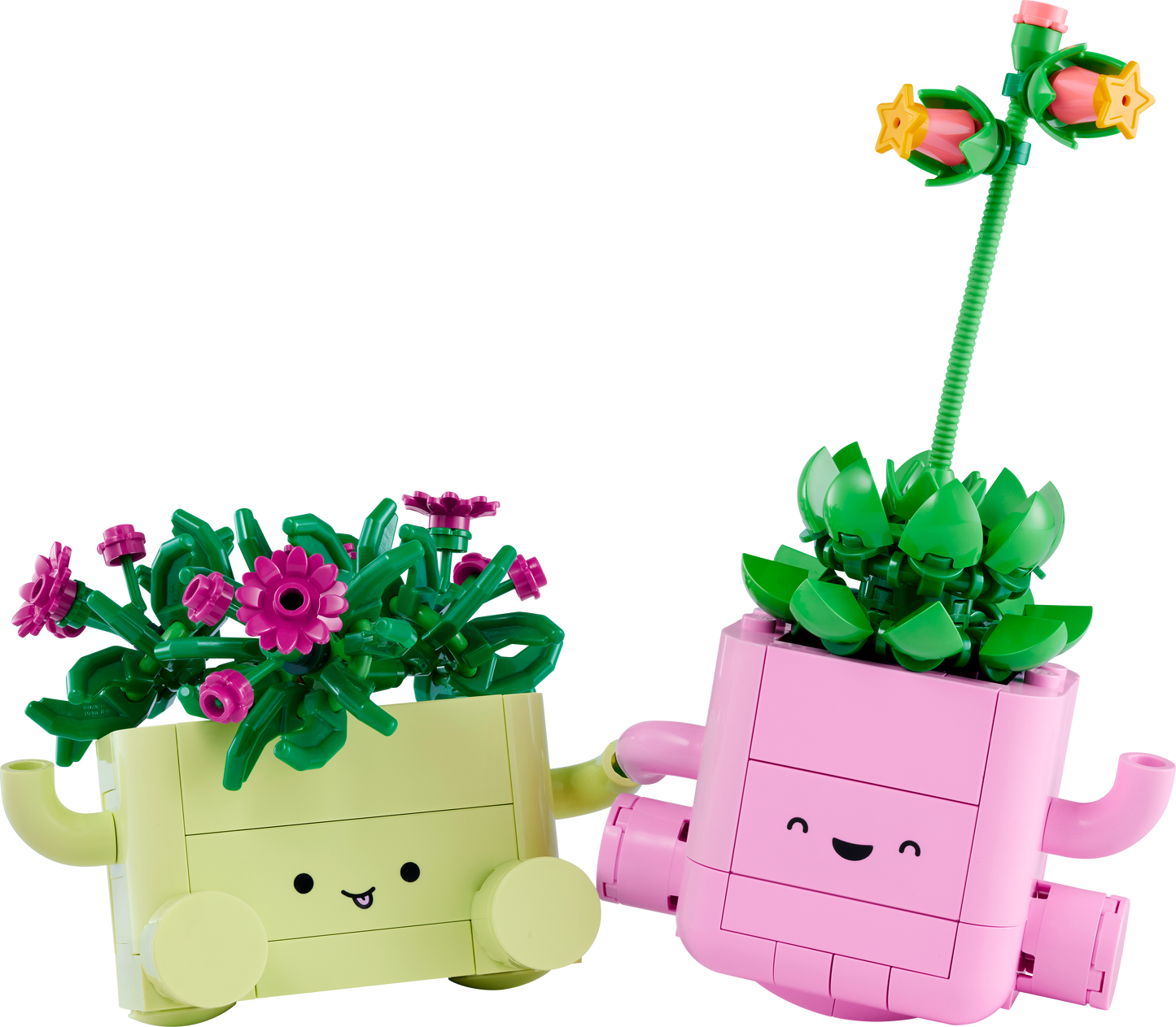 LEGO BOTANICALS 11506 Happy Plants 2