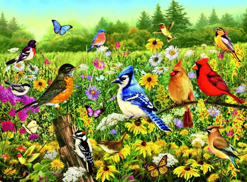 Ravensburger Birds in the Meadow 500pc
