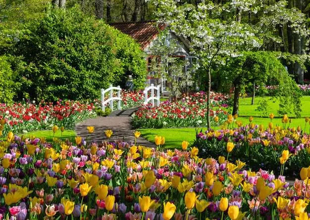 Ravensburger Beautiful Gardens – Netherlands, 1000pc