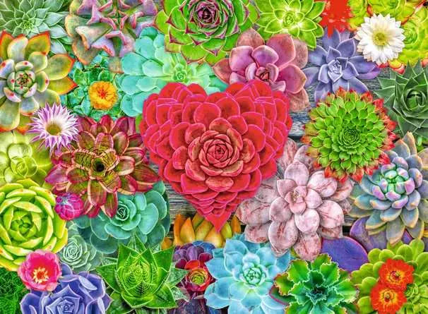 Ravensburger Succulent Love, 500pc
