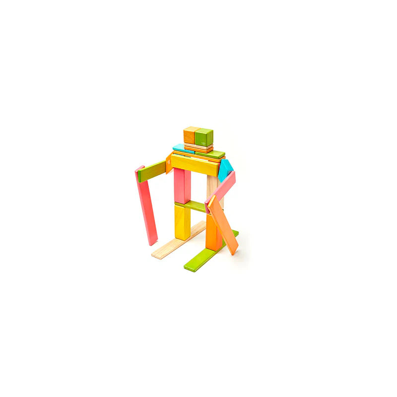 Tegu 24 Piece Set - Tints
