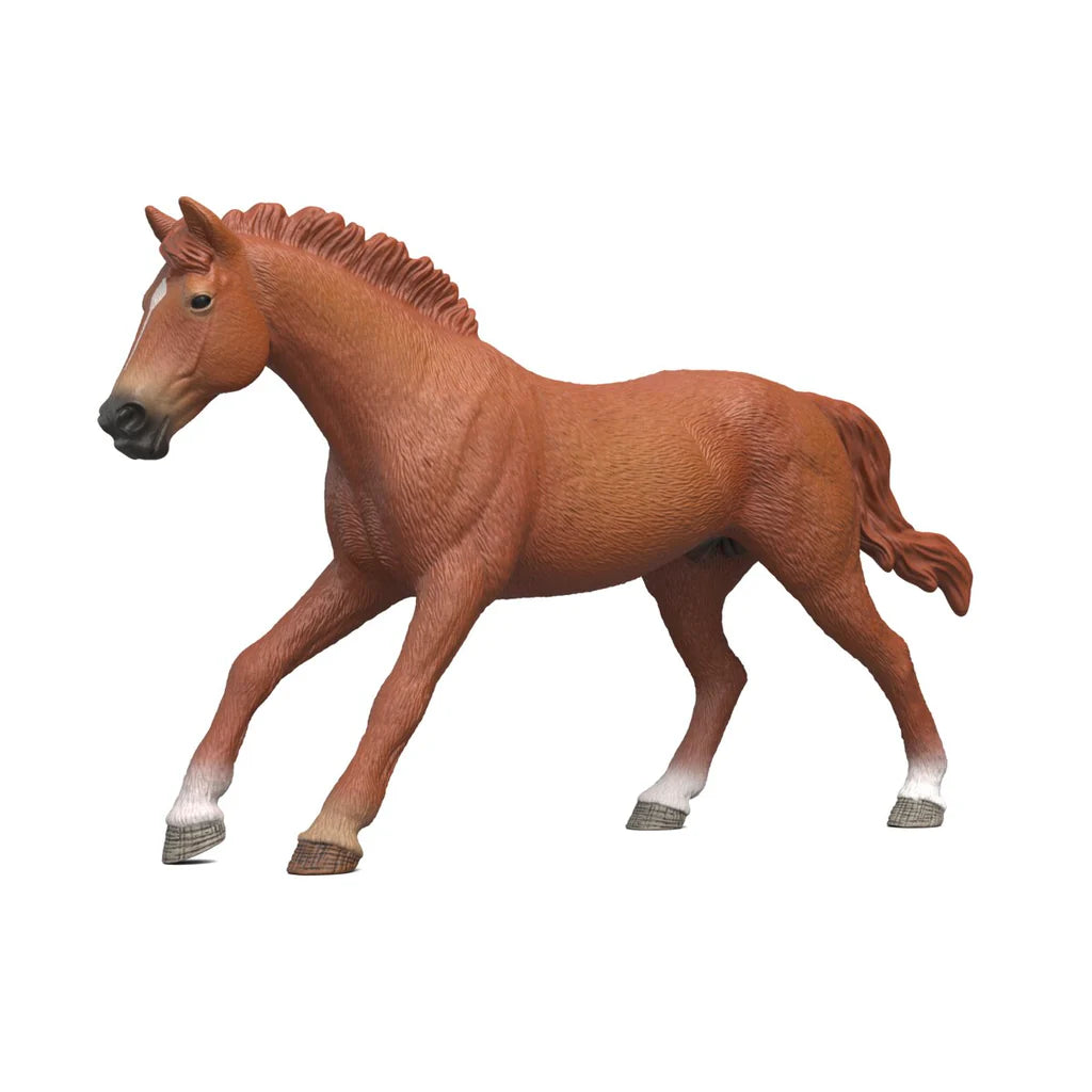 Schleich Engl. Thor. Stallion