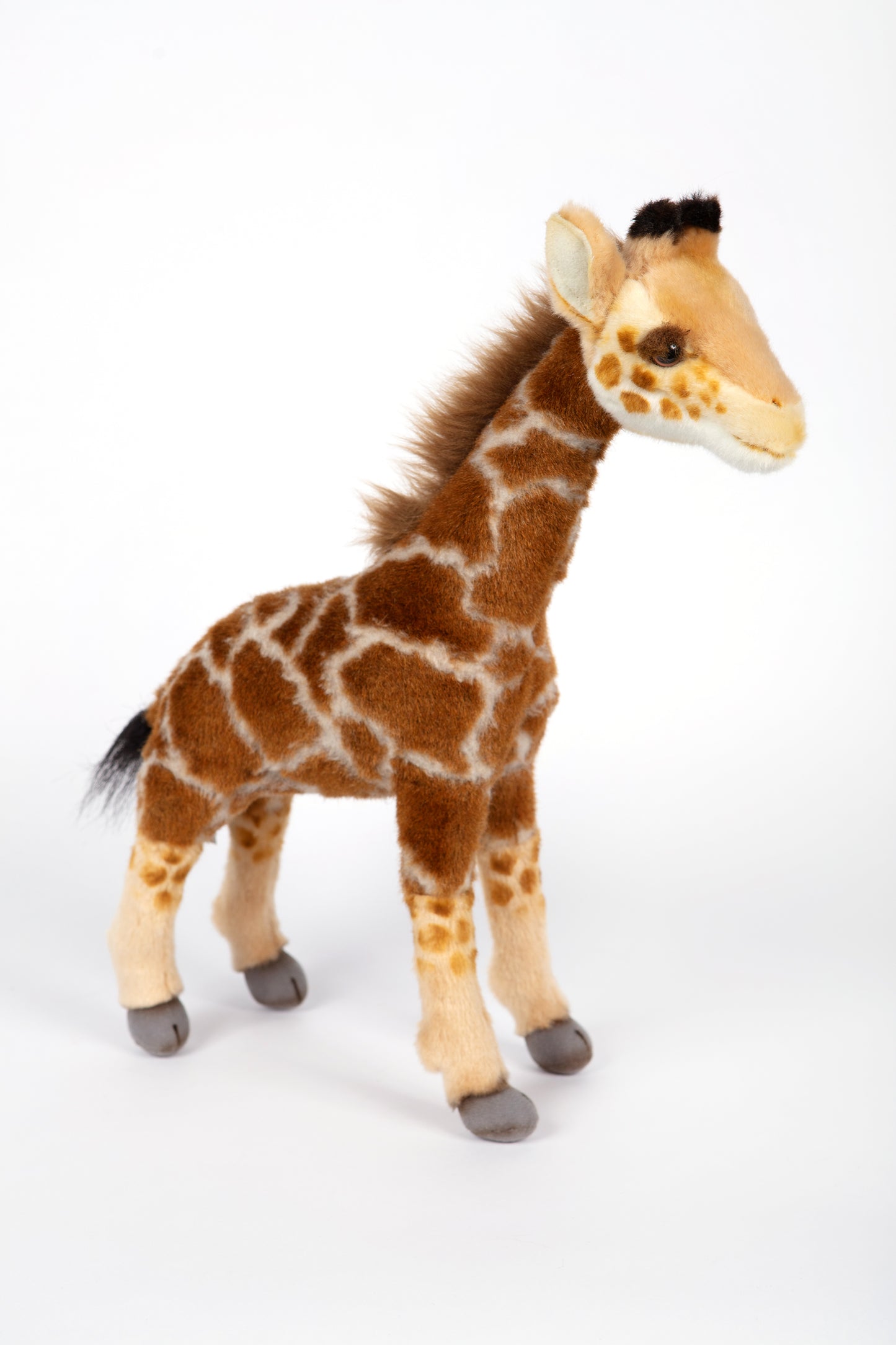 Hansa Giraffe