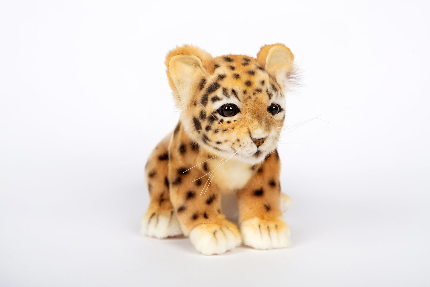 Hansa Amur Leopard Cub