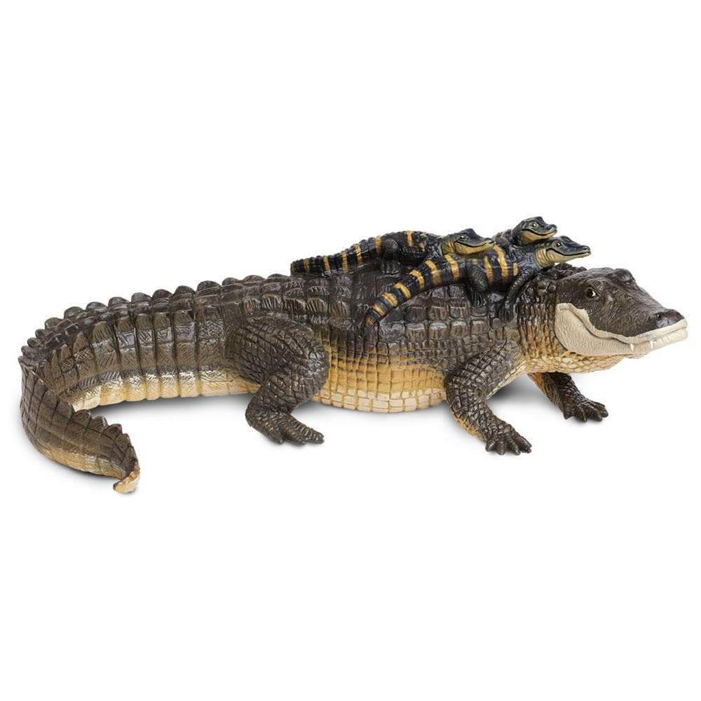 Safari Alligator with Babies