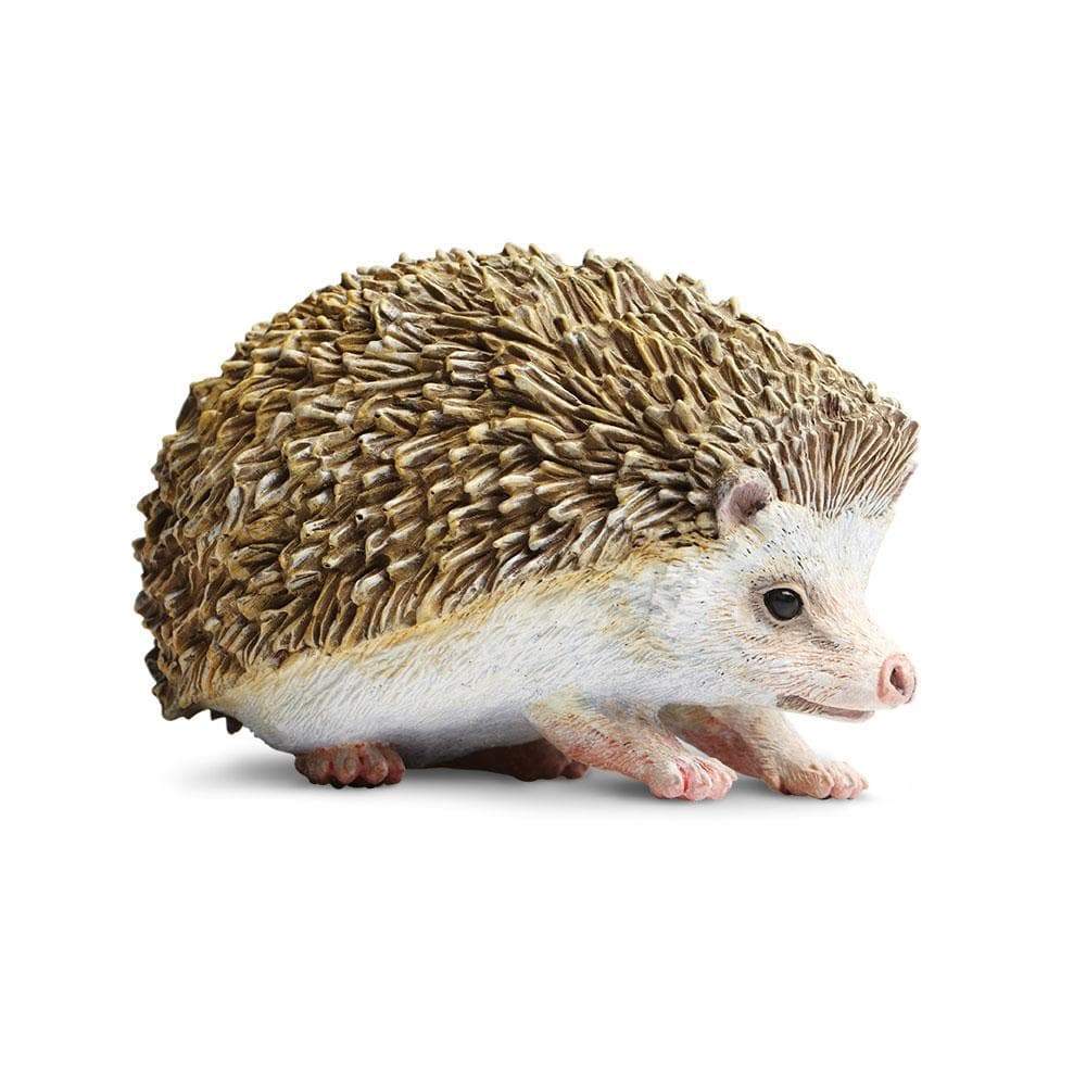 Safari Hedgehog