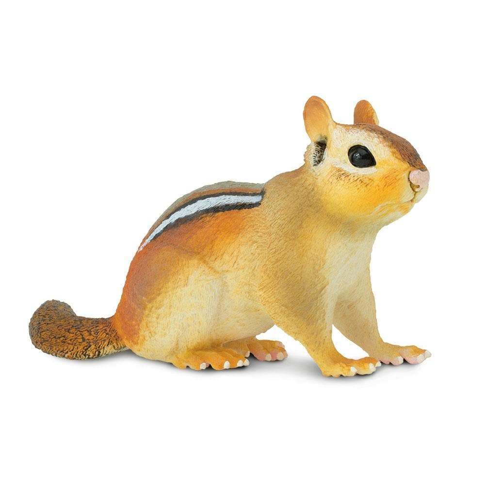 Safari Eastern Chipmunk