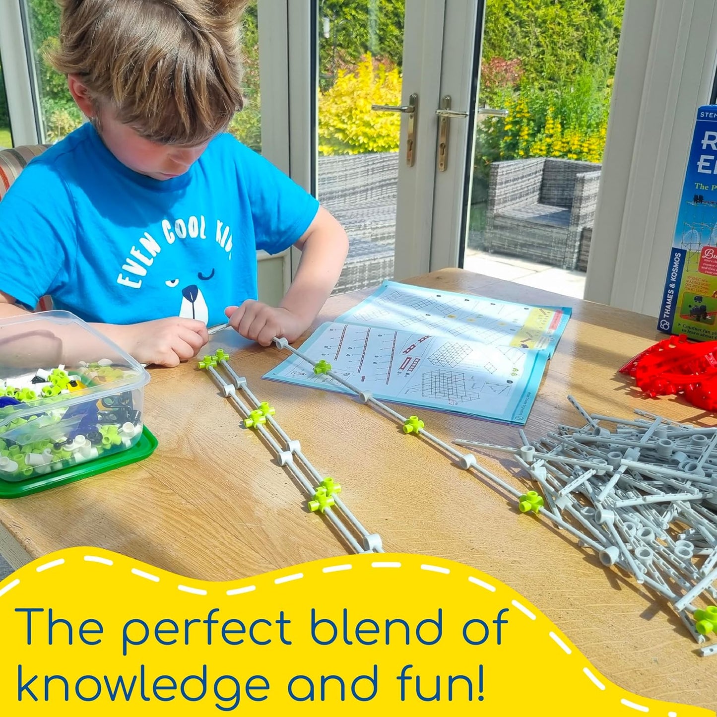 Thames & Kosmos Roller Coaster Engineering