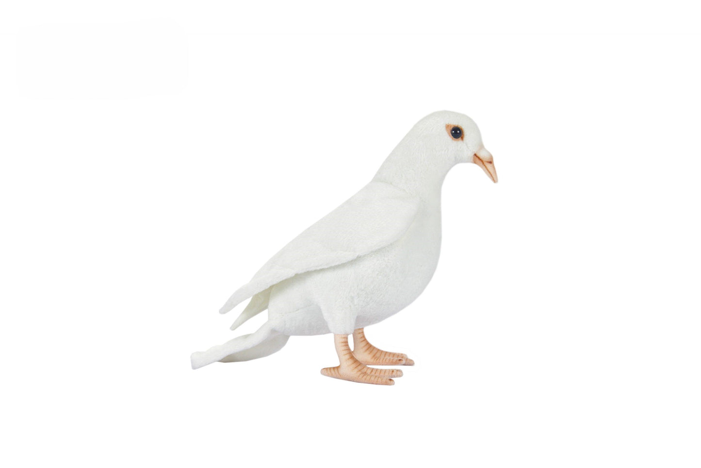 Hansa White Pigeon