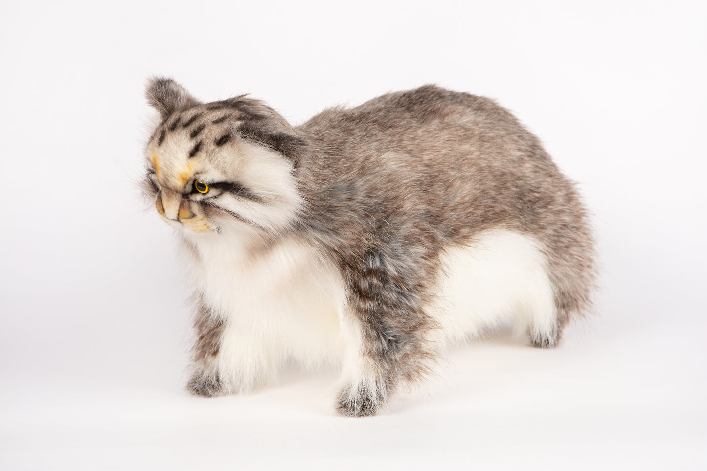 Hansa Pallas Cat Standing