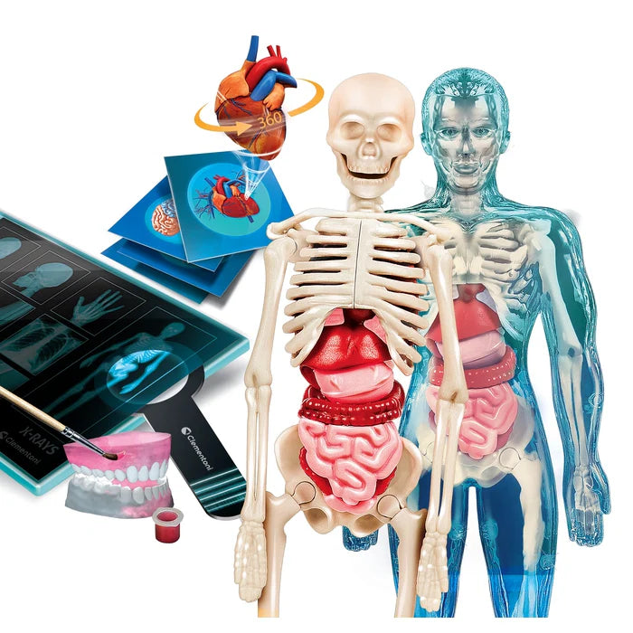 Clementoni  Super Anatomy