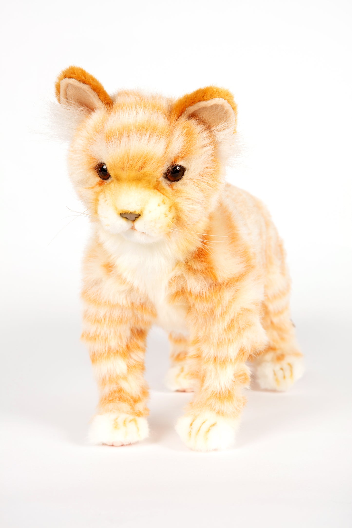 Hansa Ginger Cat Standing