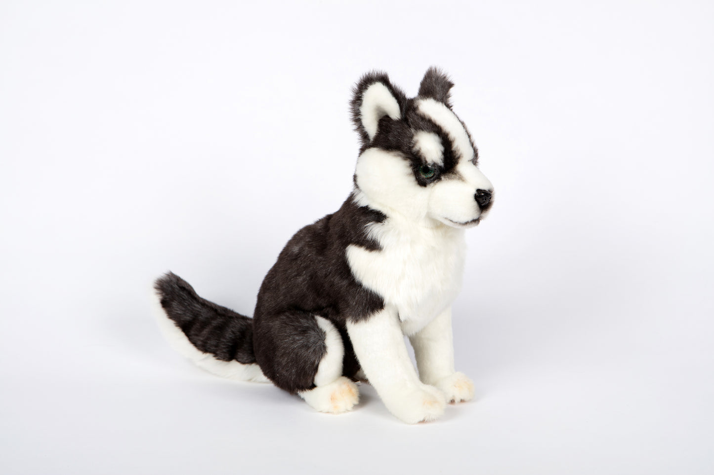 Hansa Husky Puppy Sitting