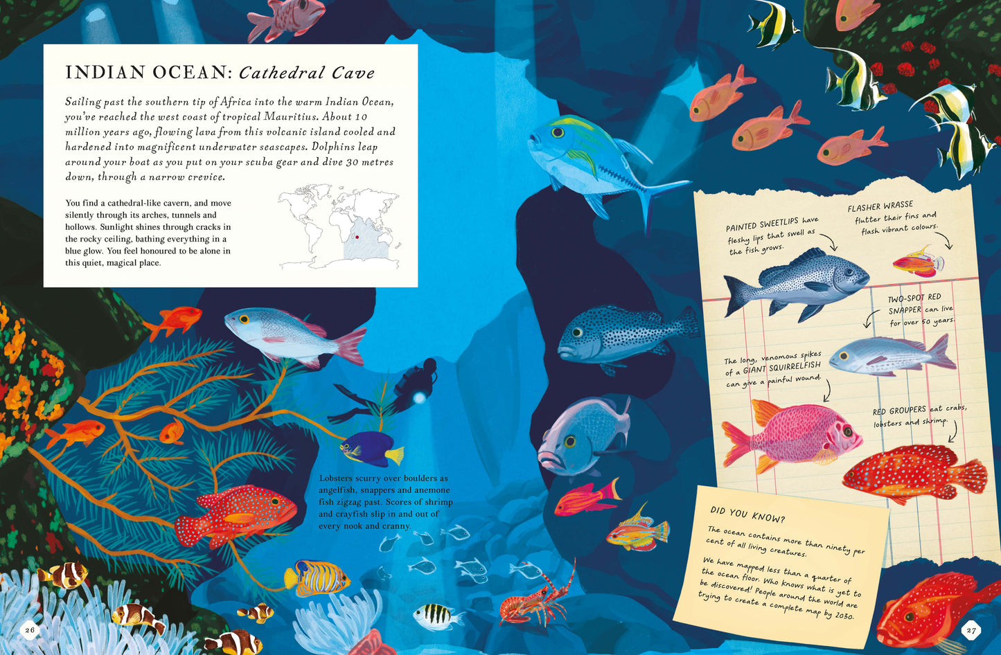 Theres An Ocean In This Book (Hb)