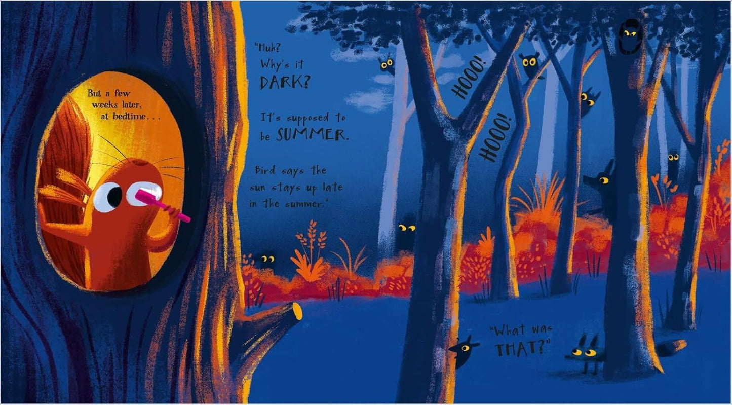 Sun Thief Board Book