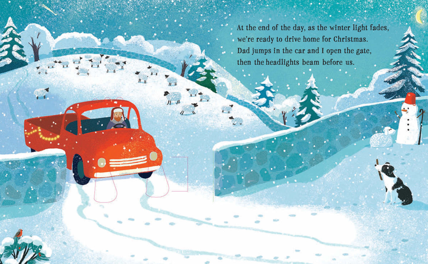 Christmas Lights (Hb) Book