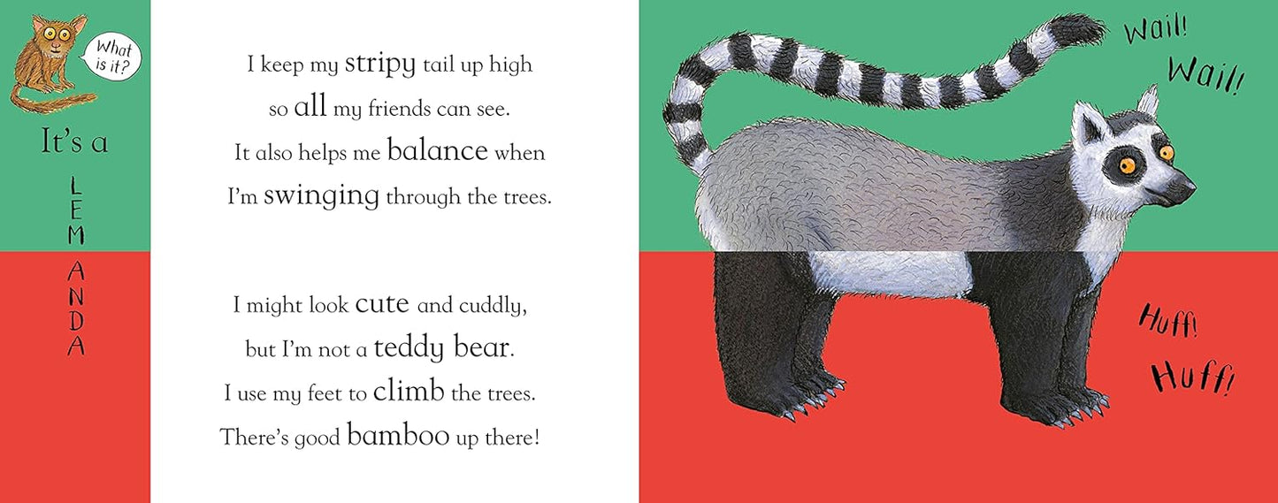 Flip Flap Zoo Board Book
