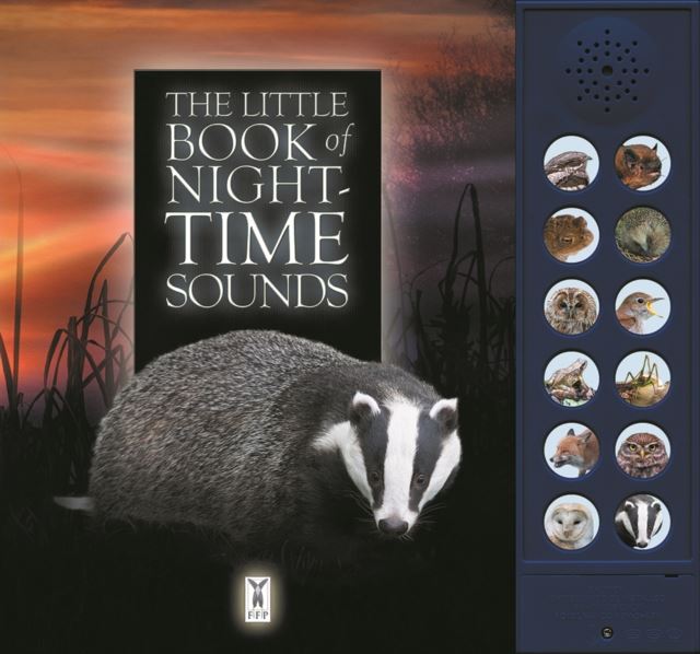 Little Book Of Night Time Sounds (Sound Book) Book