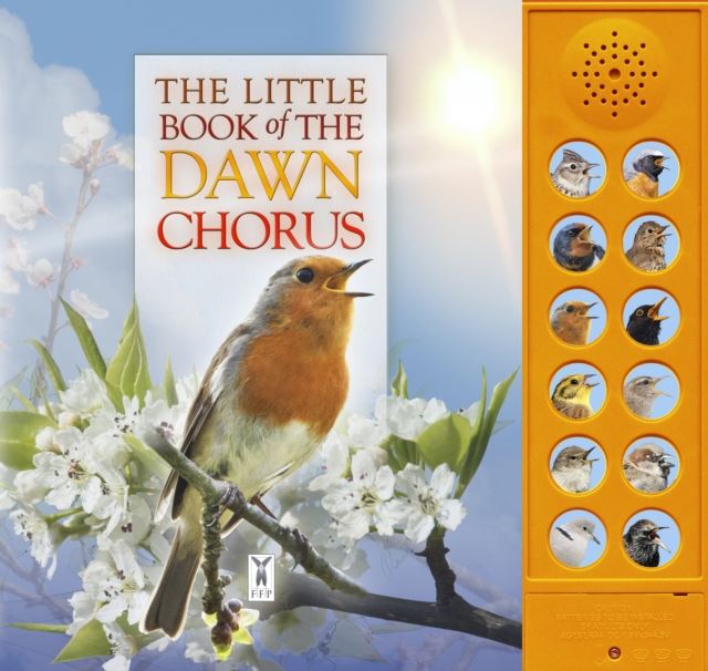 Little Book Of The Dawn Chorus (Sound Book) Book