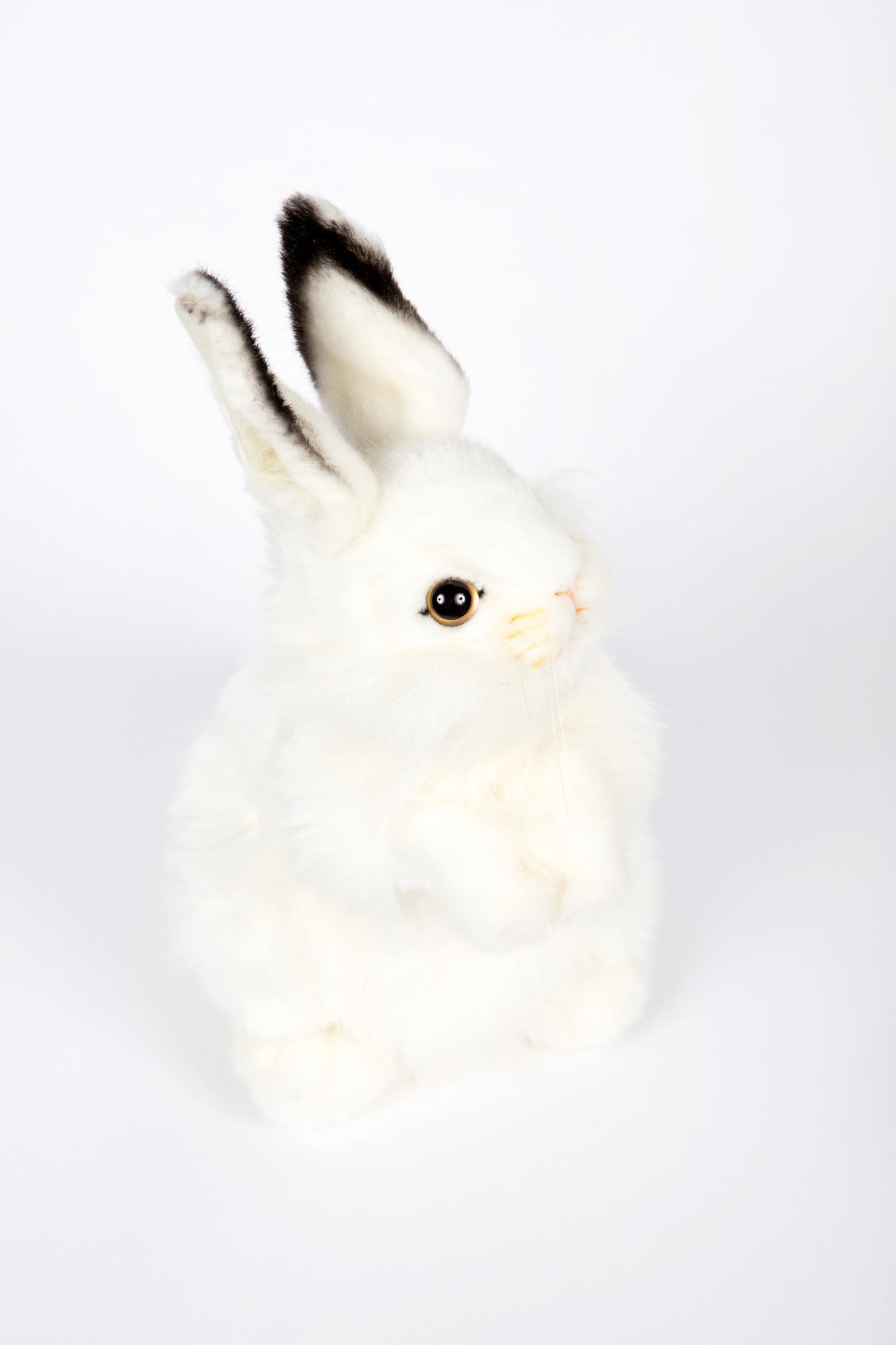 Hansa Rabbit (White)