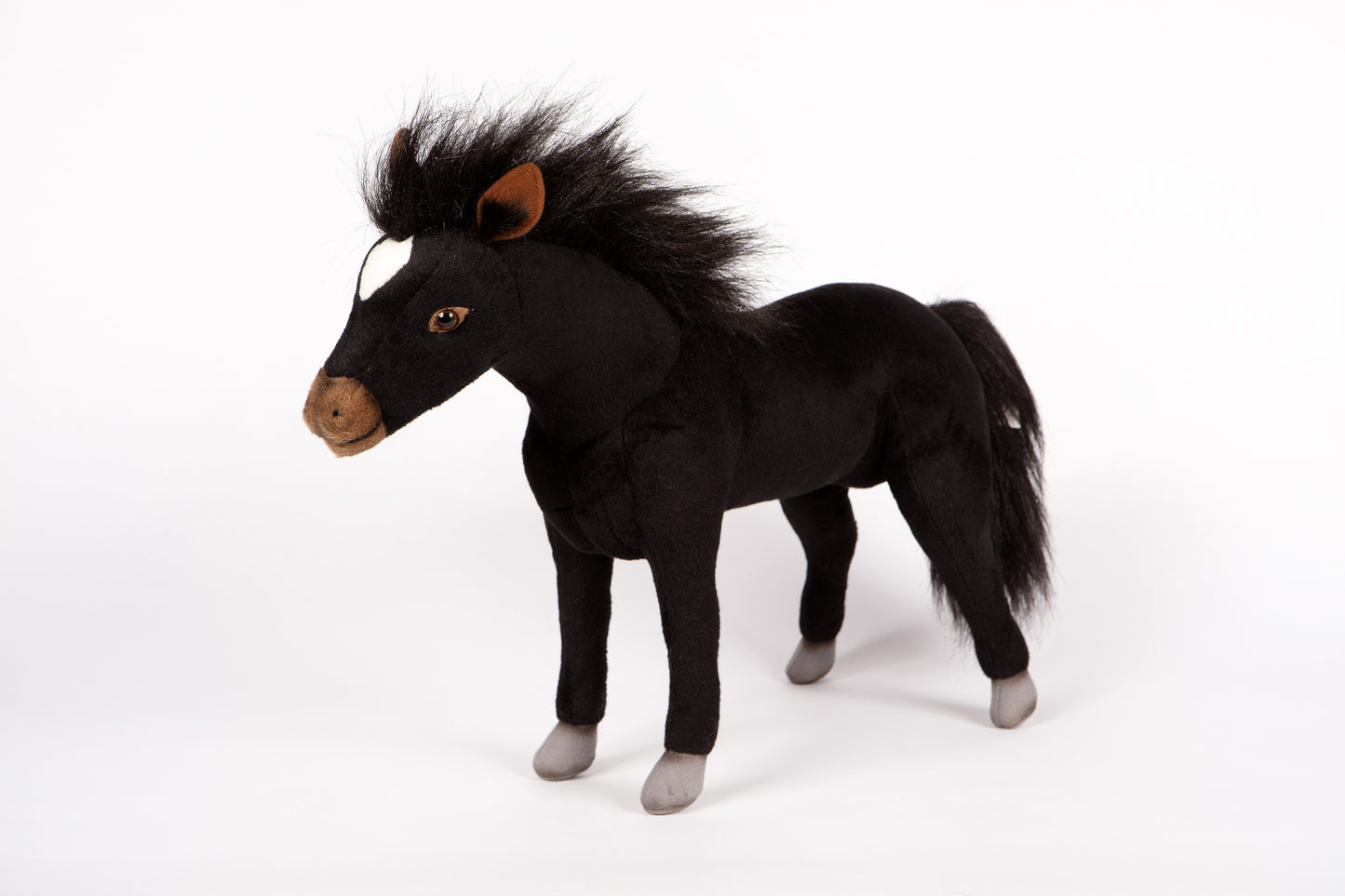 Hansa Black Stallion