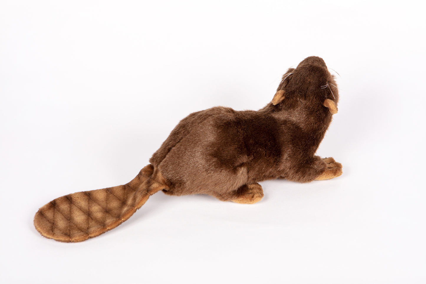 Hansa Beaver