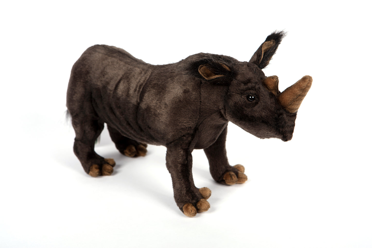 Hansa Black Rhino