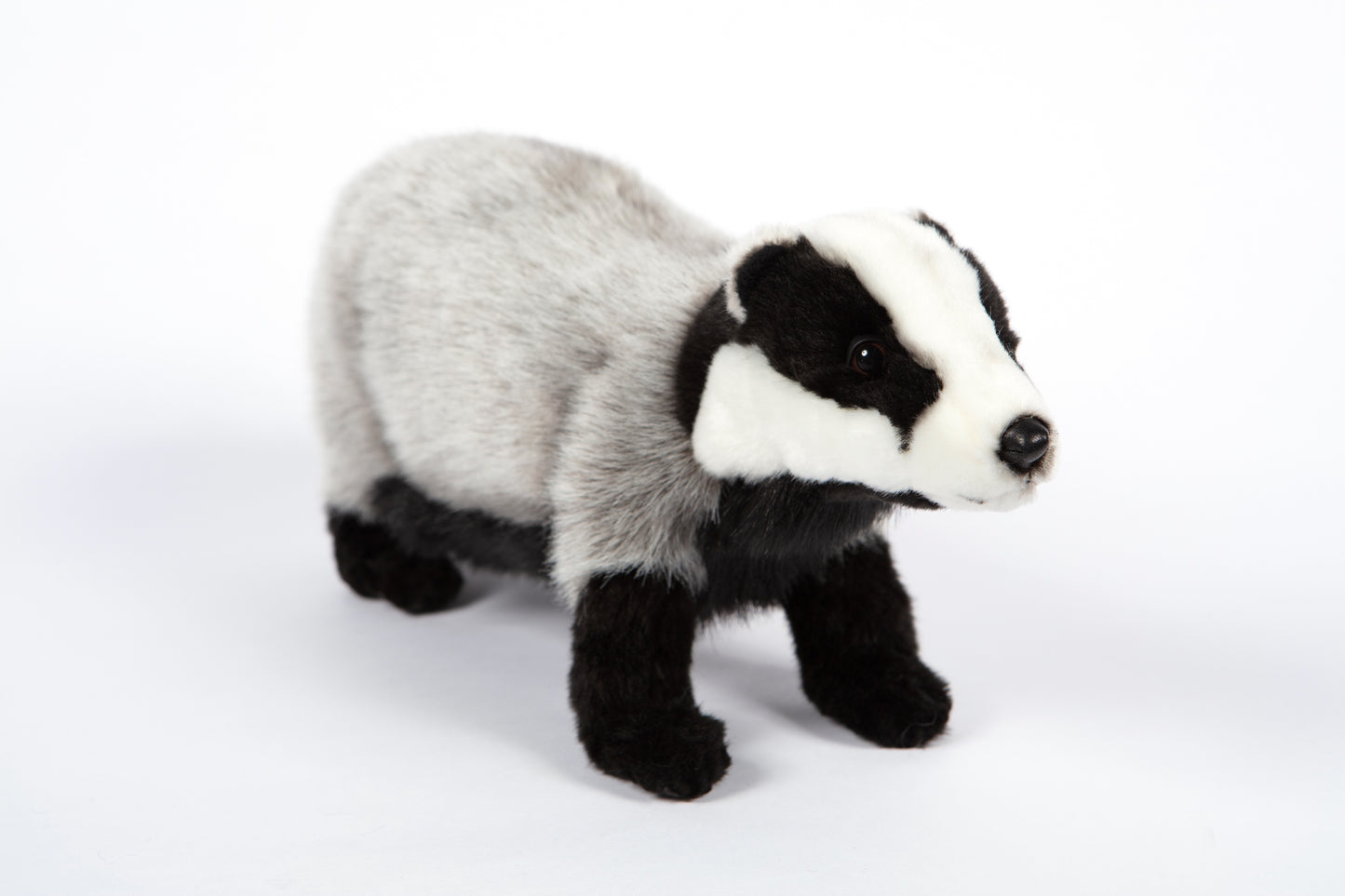 Hansa European Badger Medium