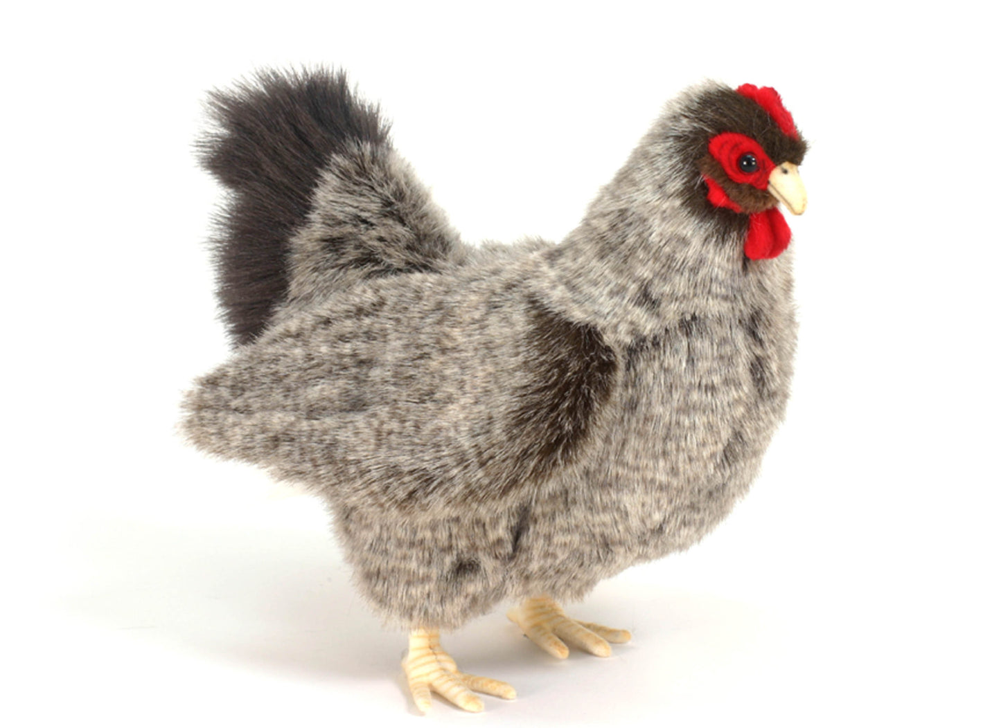 Hansa Grey Hen