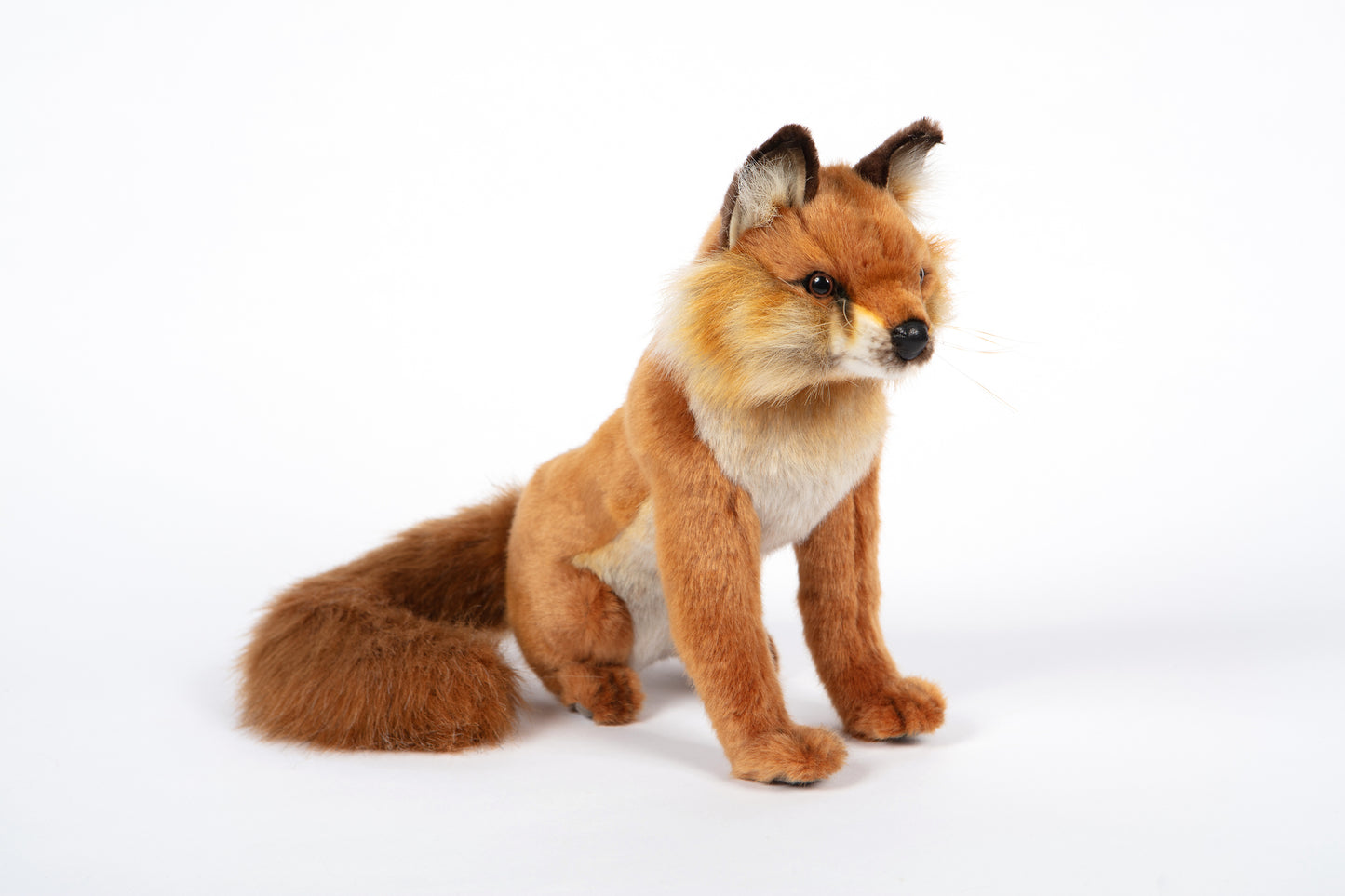 Hansa Red Fox Sitting