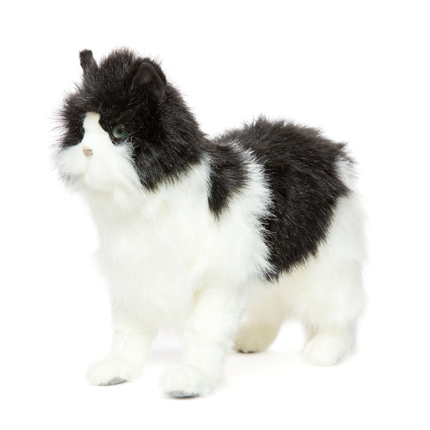Hansa Cat (Black/White)