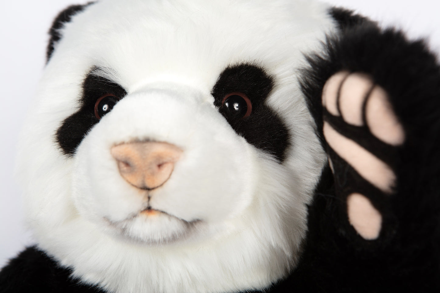 Hansa Panda Bear
