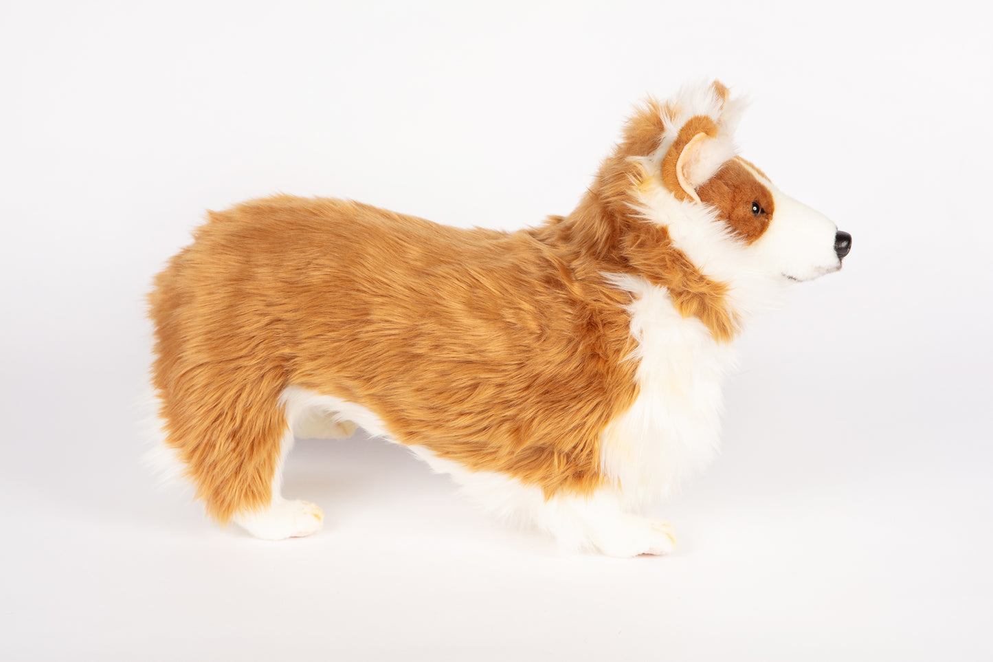 Hansa Welsh Corgi