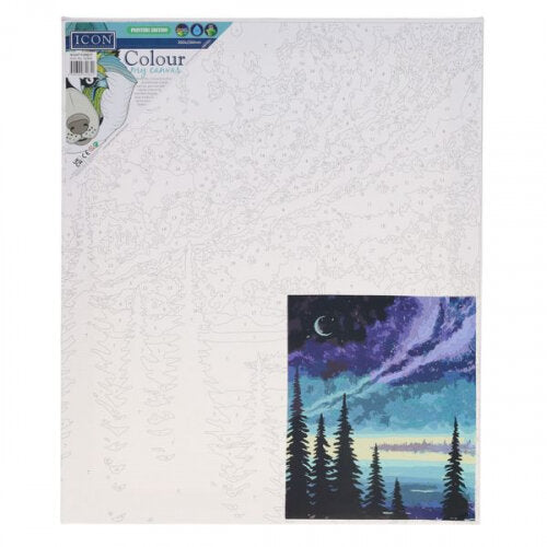 Icon 300x250mm Colour My Canvas Night Forest