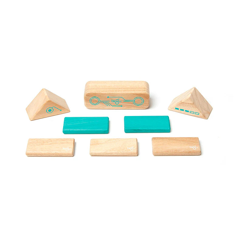 Tegu Robo