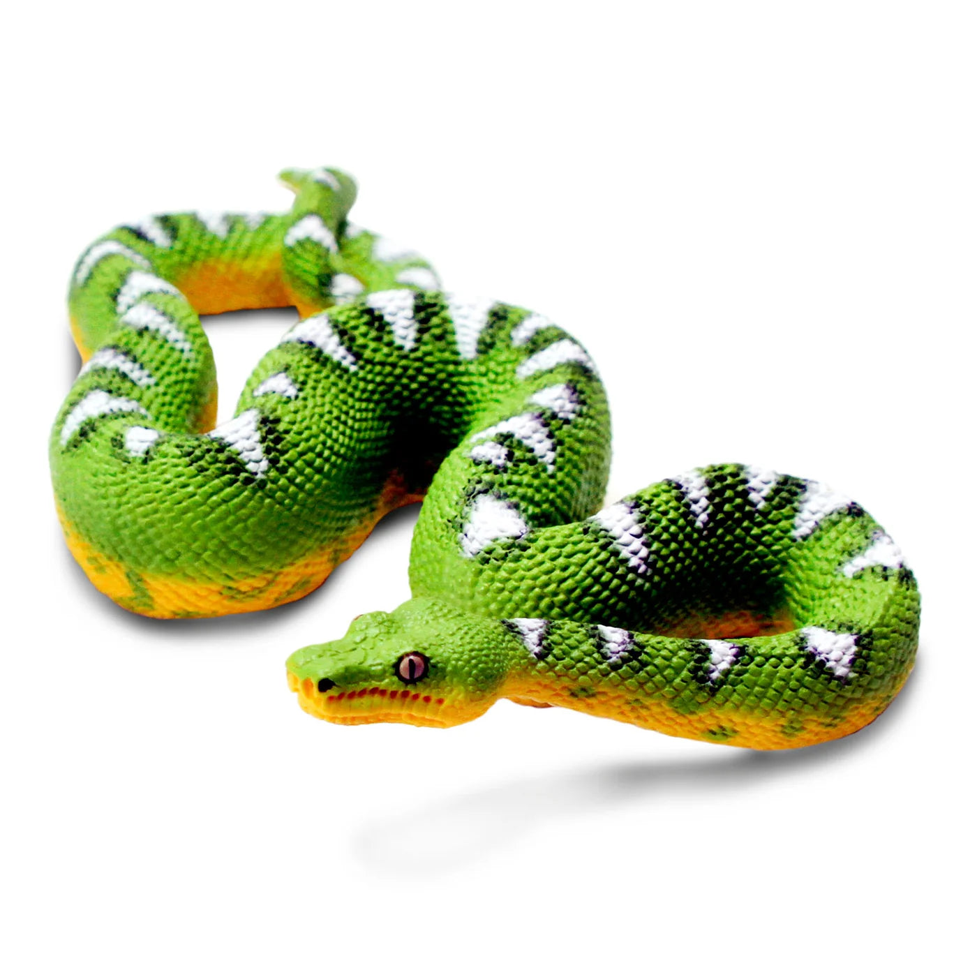 Safari Emerald Tree Boa*