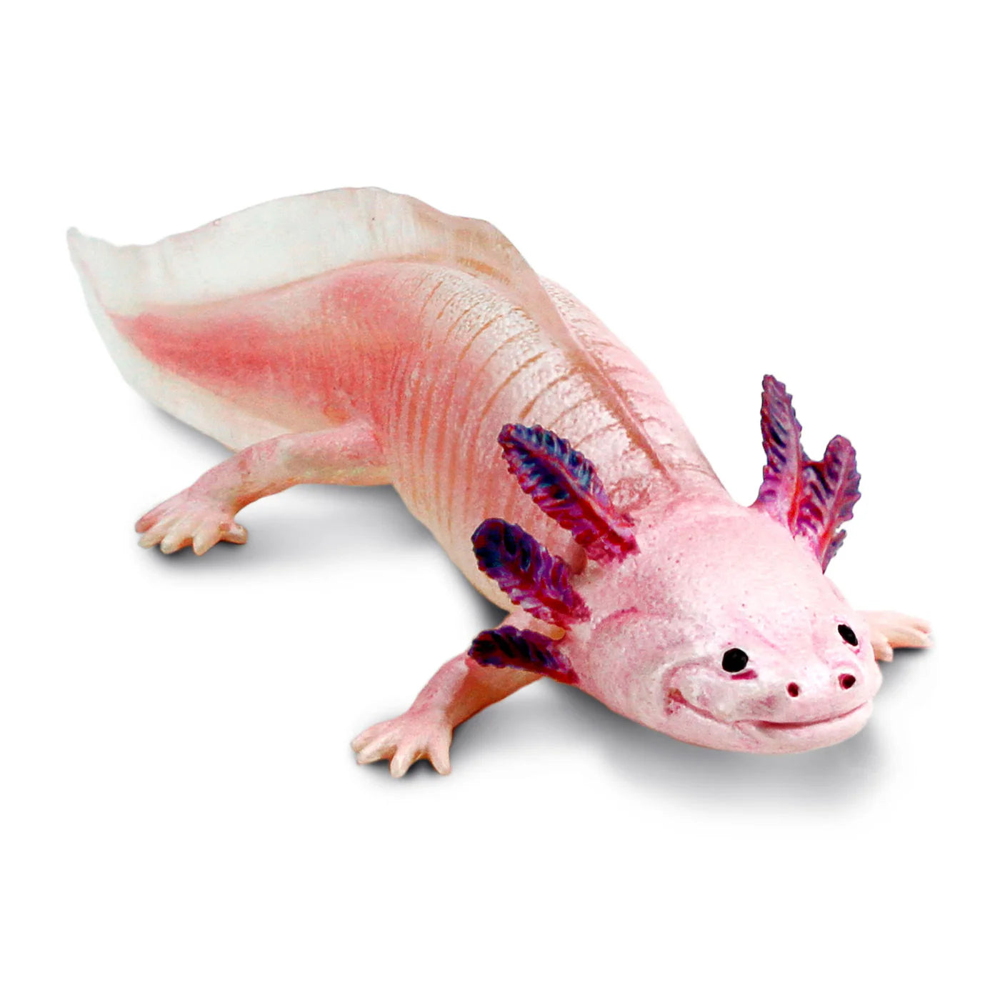 Safari Axolotl*