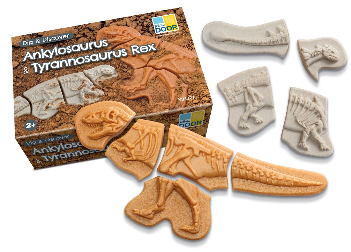 Yellow Door Dig and Discover – Ankylosaurus & T Rex