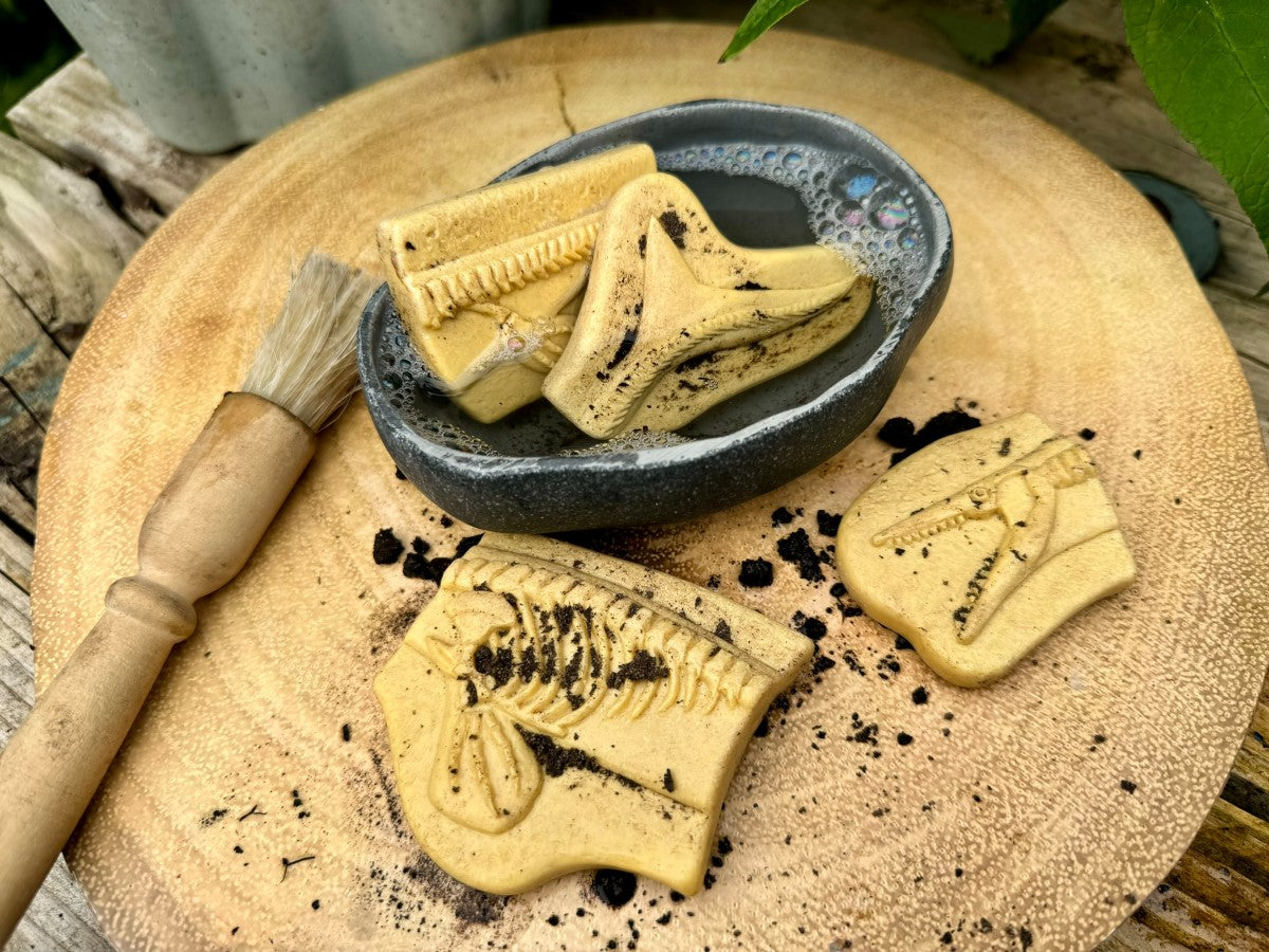 Yellow Door Dig and Discover – Pliosaur & Stegosaurus