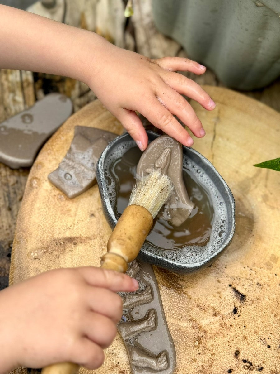 Yellow Door Dig and Discover – Pliosaur & Stegosaurus