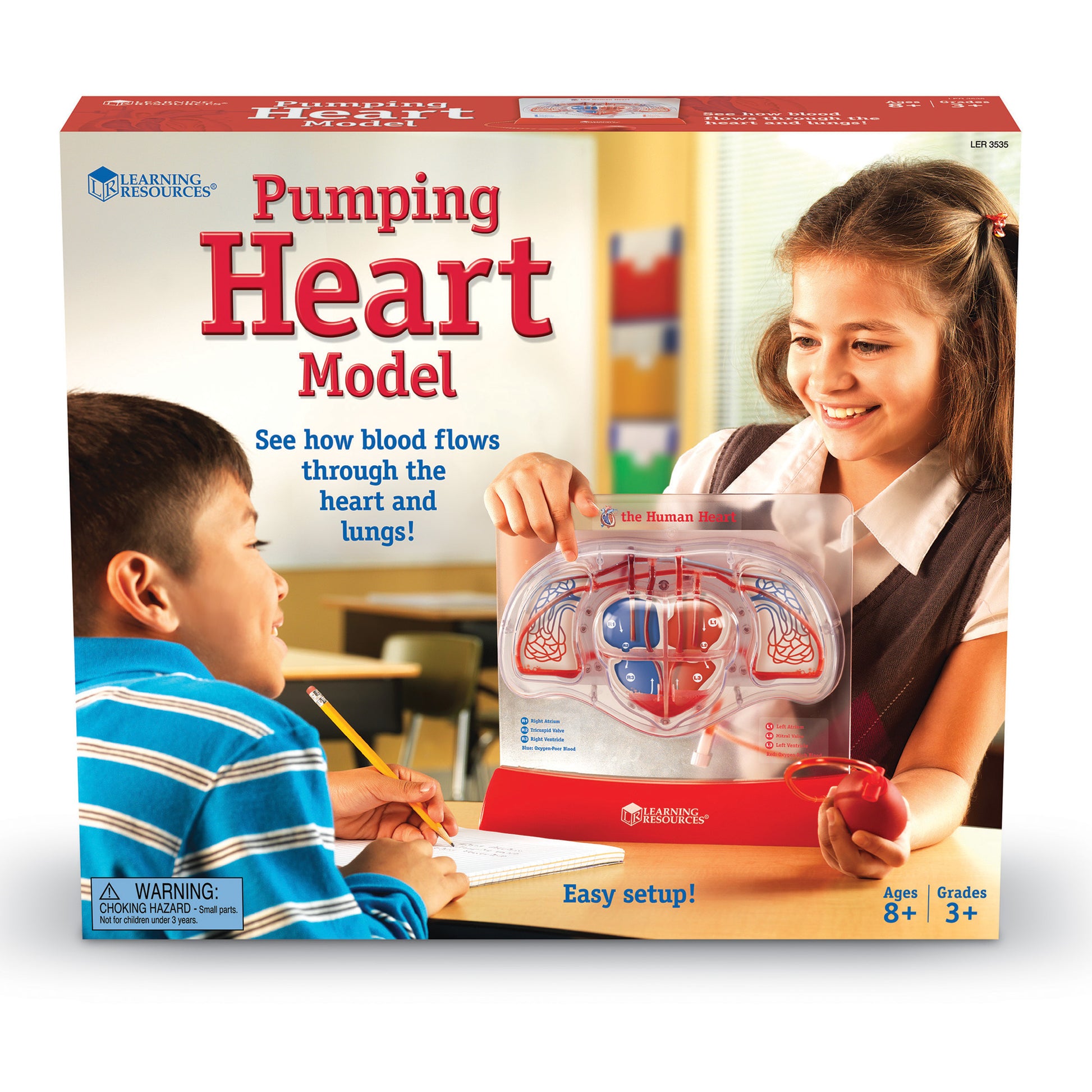 Learning Resources Pumping Heart Model