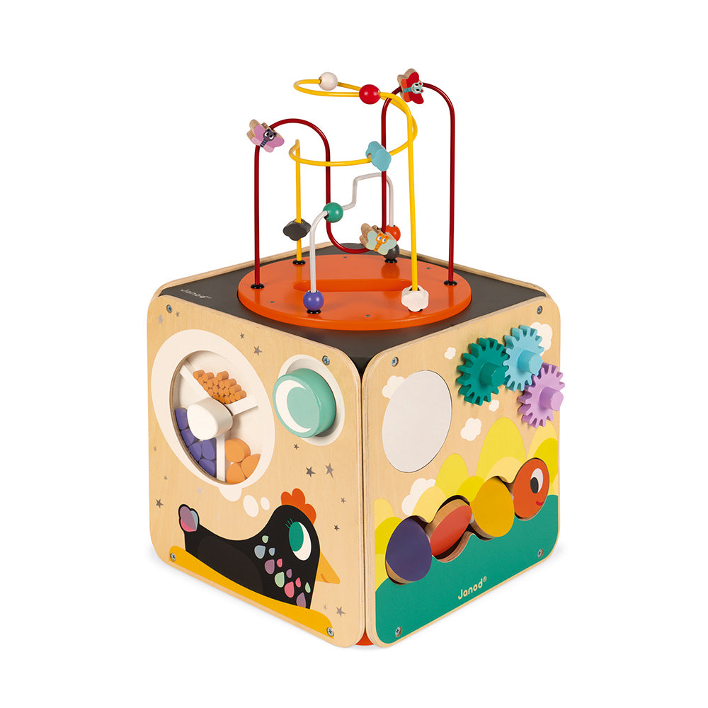 Janod Multi-Activity Looping Toy