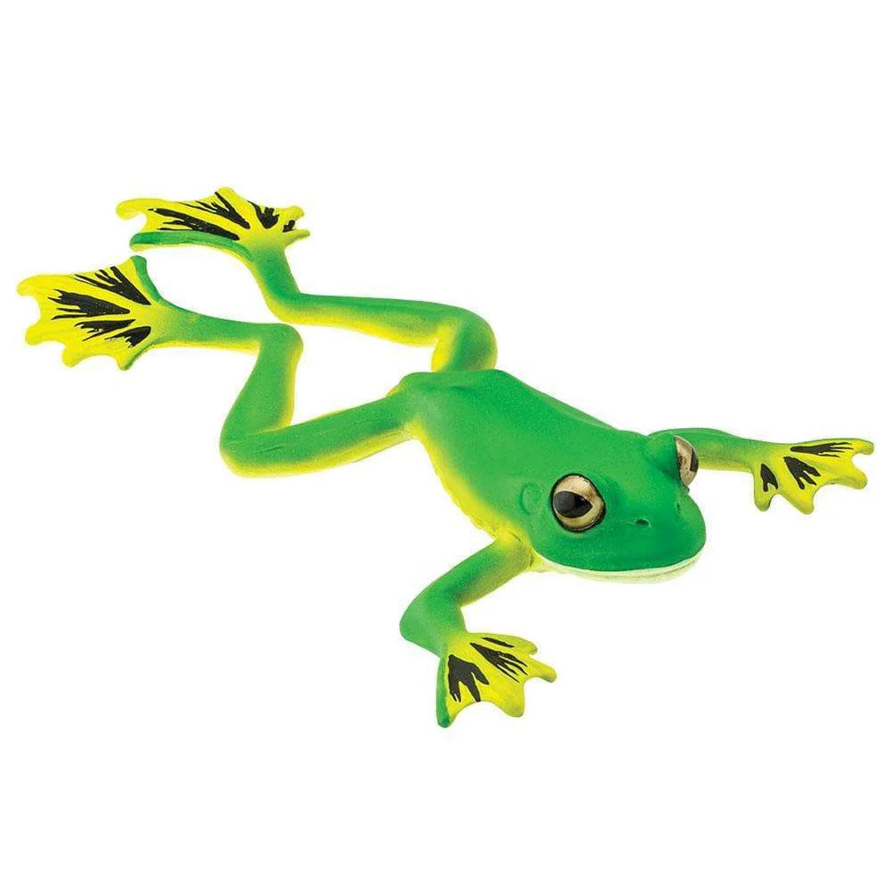 Safari Flying Tree Frog