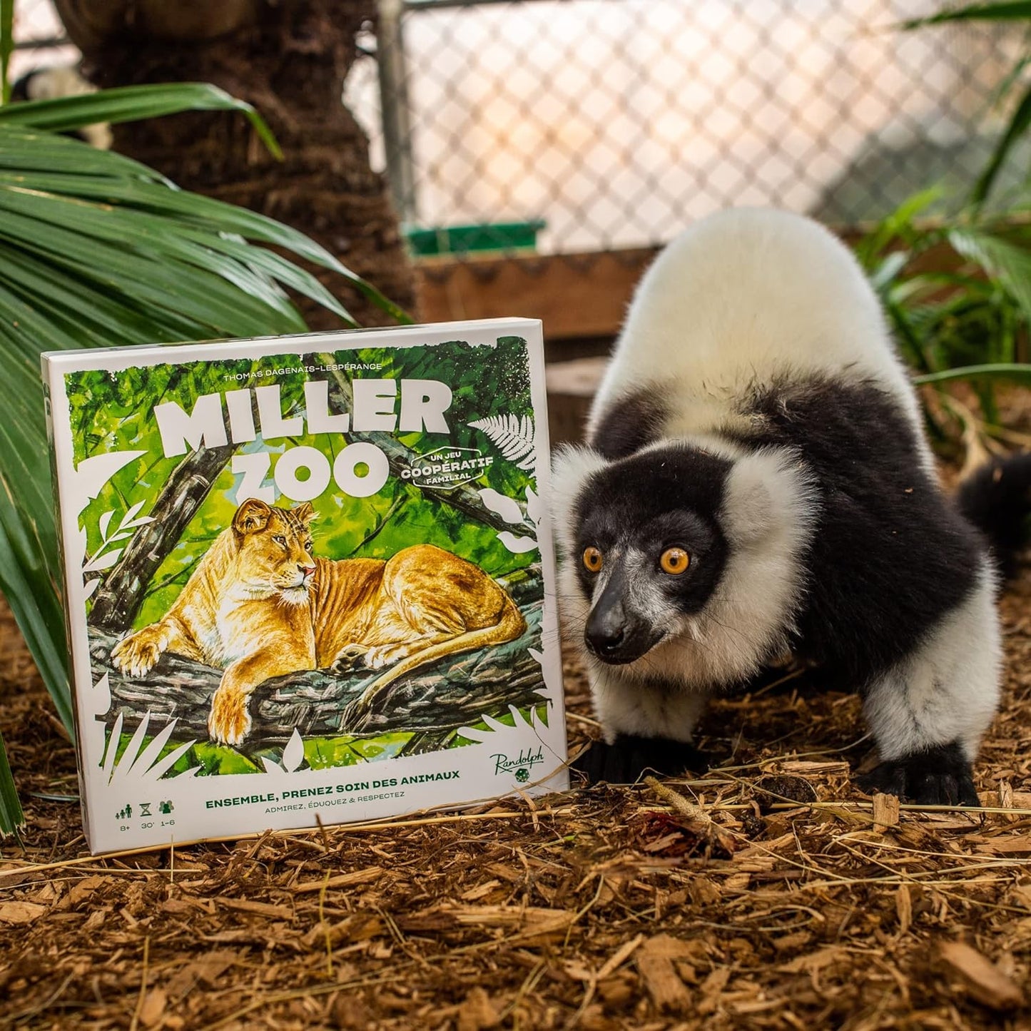 Miller Zoo