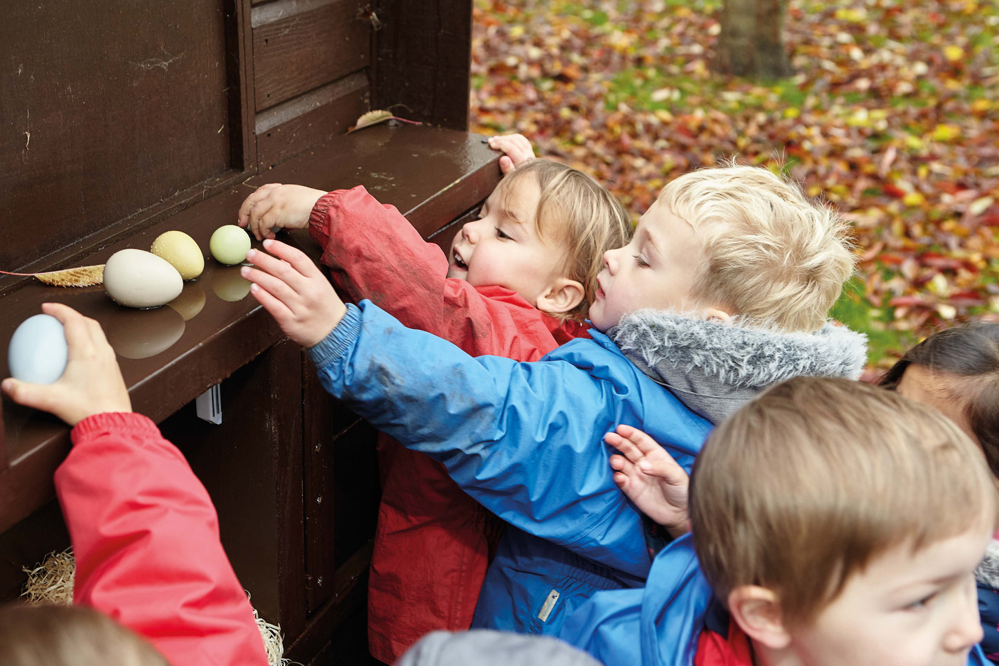 Yellow Door Size-Sorting Eggs