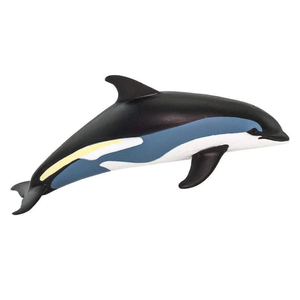 Safari Atlantic White-Sided Dolphin